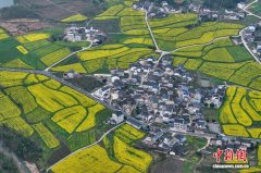 皖南黟县以花为媒激活春日发展新动能